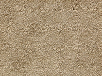 Radici Lord Beige 126A фото 1 | FLOORDEALER